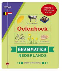 nederlandse grammatica check