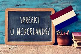 taal nederlands