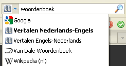 vertalen naar het engels