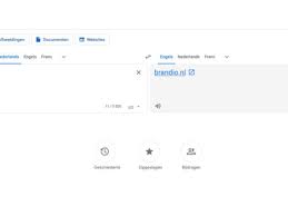 vertaling google