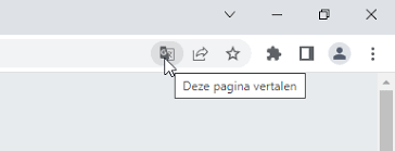 pagina vertalen