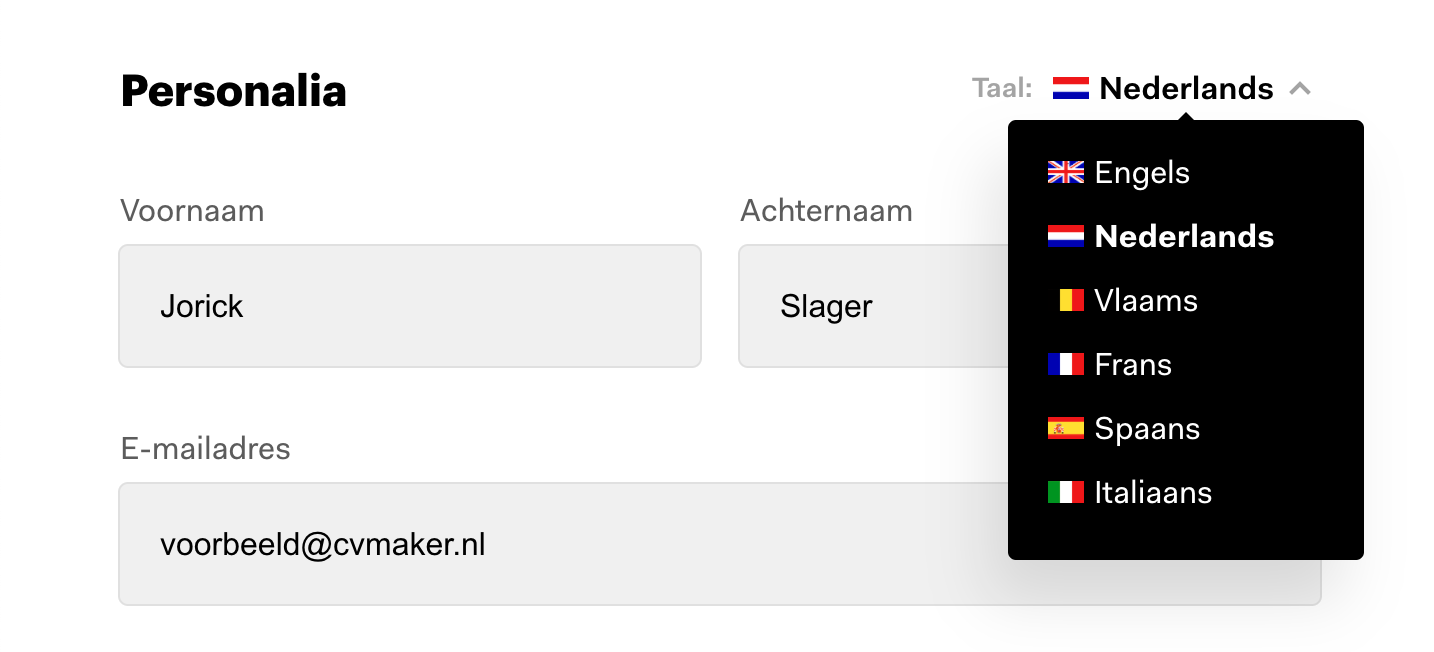 opleiding engels vertaling