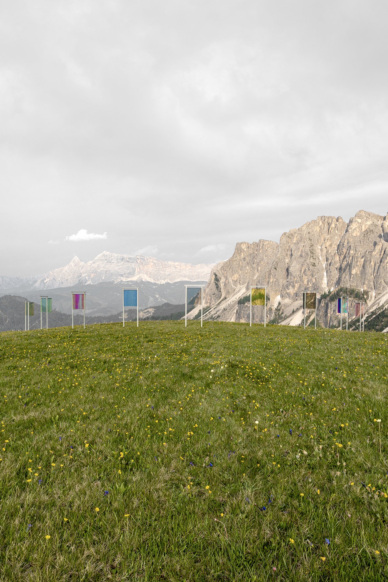meadow vertaling